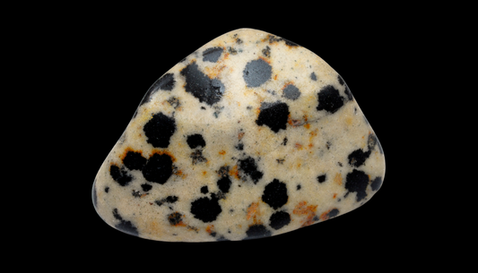 Dalmation Jasper