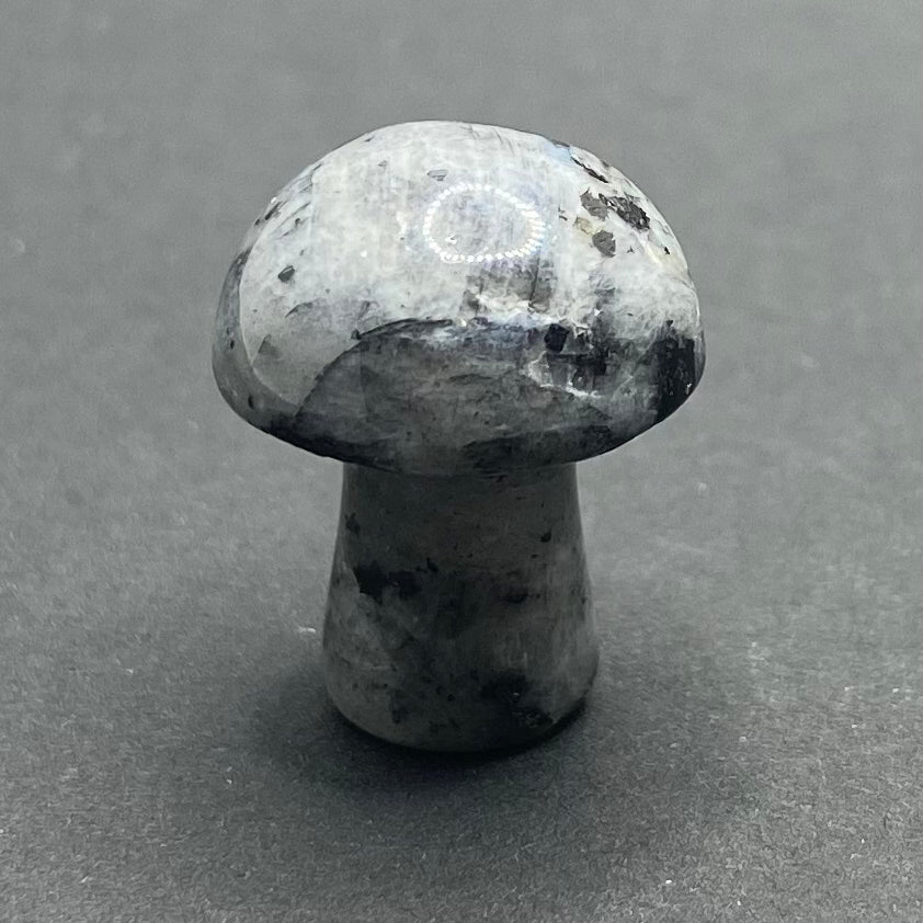 Mini Mushroom | Healing Crystals | Carving | 1 pc