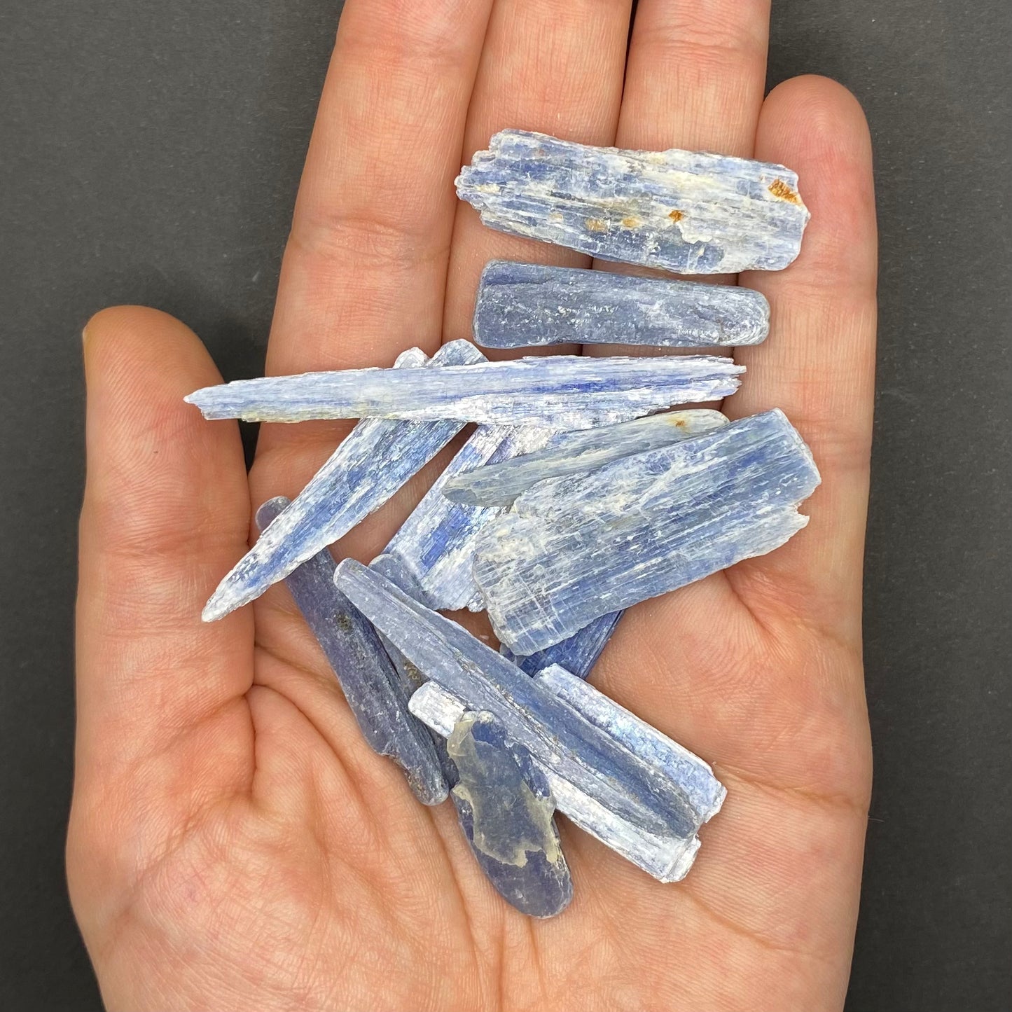 Blue Kyanite Blade | Healing Crystals | Raw | 1 pc