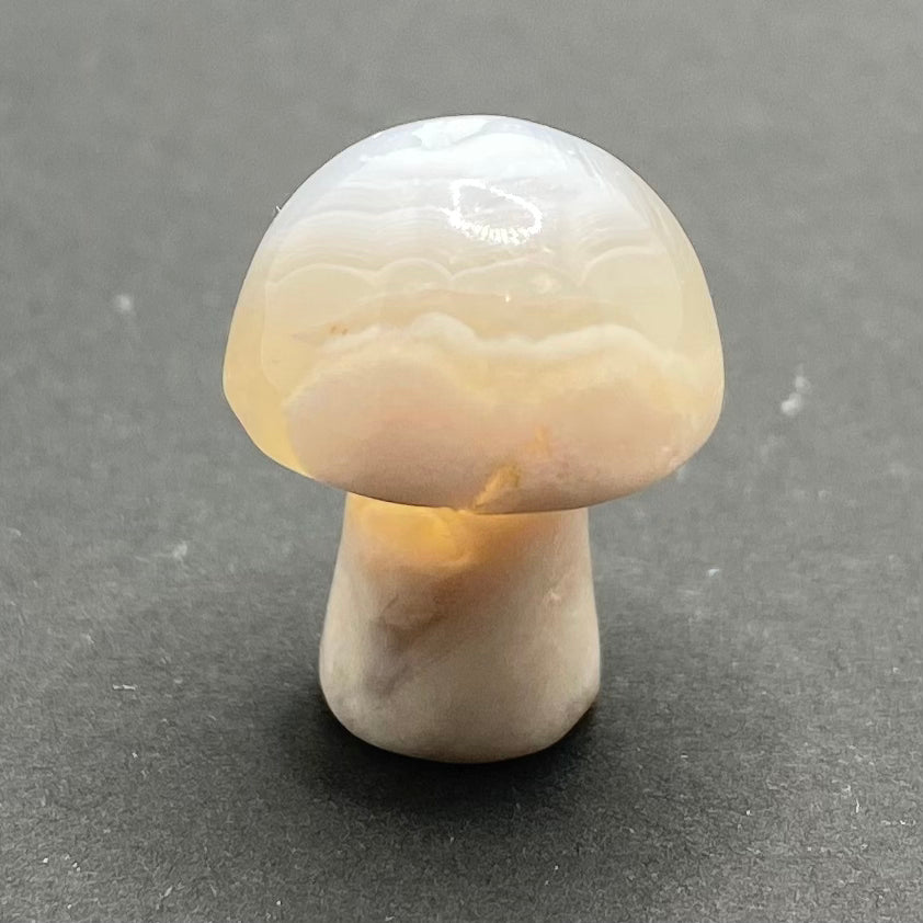 Mini Mushroom | Healing Crystals | Carving | 1 pc