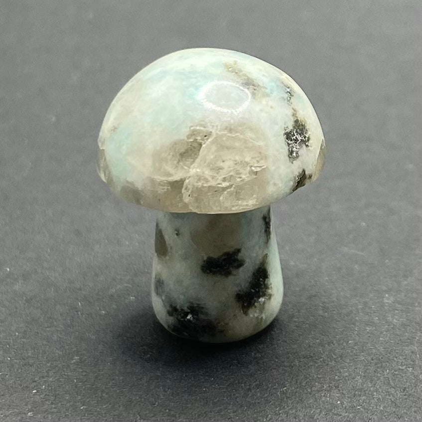 Mini Mushroom | Healing Crystals | Carving | 1 pc