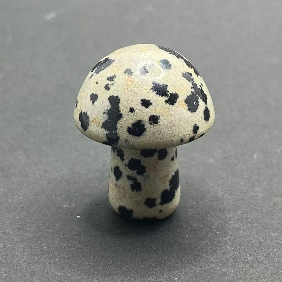 Mini Mushroom | Healing Crystals | Carving | 1 pc