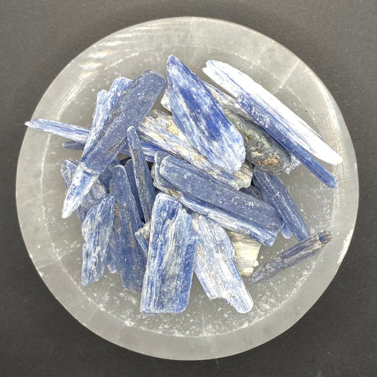 Blue Kyanite Blade | Healing Crystals | Raw | 1 pc